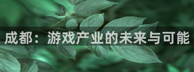 深圳亿万28电商：成都：游戏产业的未来与可能