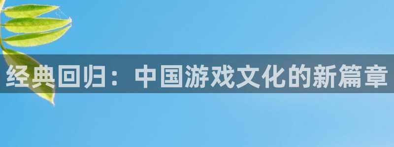 亿万28官网注册平台怎么注册不了：经典回归：中国游戏文化的新篇章