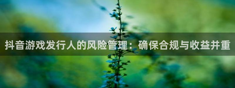 亿万28子的图片：抖音游戏发行人的风险管理：确保合规与收益并重