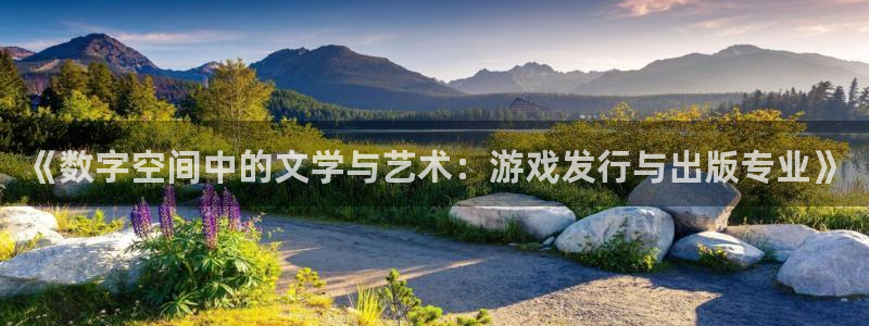 亿万28官网游戏：《数字空间中的文学与艺术：游戏发行与出版专业》