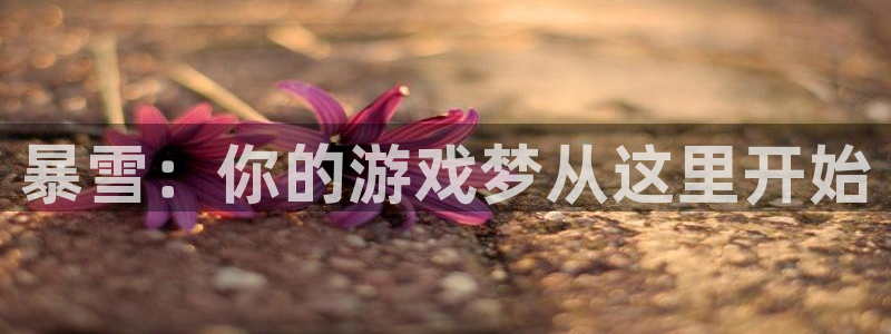 亿万28注册开户：暴雪：你的游戏梦从这里开始