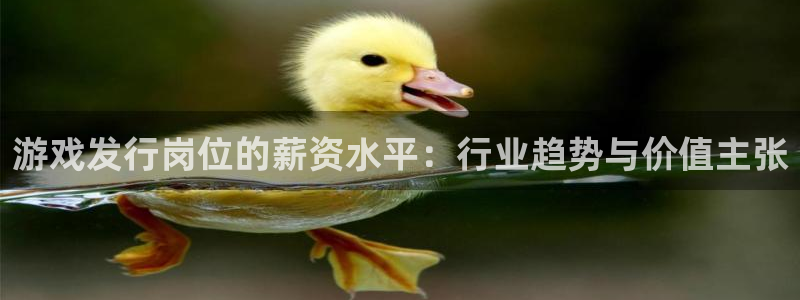 亿万28官网平台代理条件：游戏发行岗位的薪资水平：行业趋势与价值主张