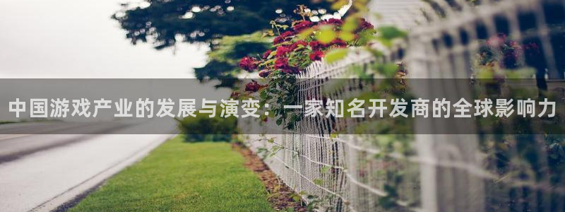 亿万28子年度最佳图书：中国游戏产业的发展与演变：一家知名开发商的全球影响力