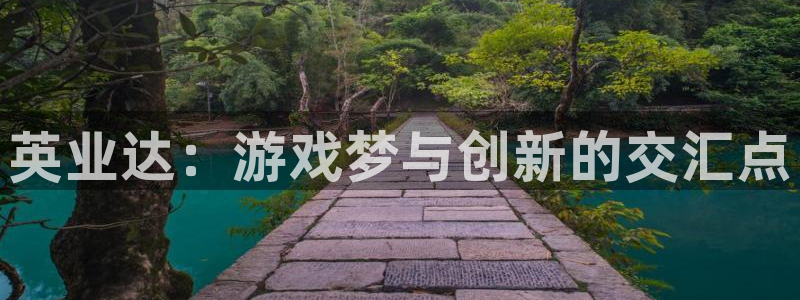 亿万28官网客服：英业达：游戏梦与创新的交汇点