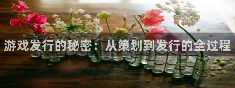 亿万28的所有小说：游戏发行的秘密：从策划到发行的全过程