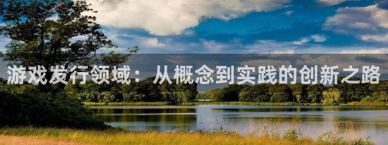 亿万28电商怎么样：游戏发行领域：从概念到实践的创新之路