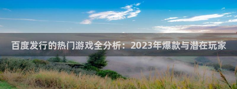 亿万28是哪个国家的衣服品牌：百度发行的热门游戏全分析：2023年爆款与潜在玩家