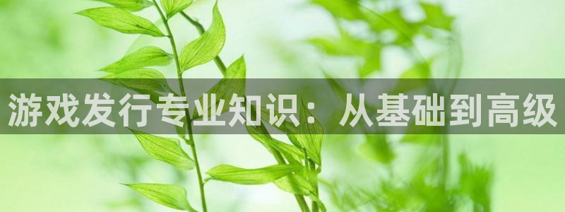 广州亿万28网络科技有限公司：游戏发行专业知识：从基础到高级