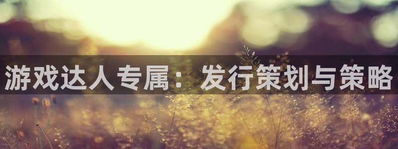 亿万28官网价 5O6917 亿万28：游戏达人专属：发行策划与策略