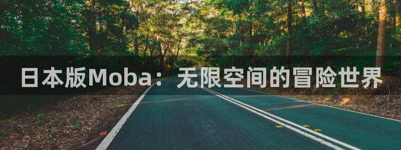 亿万28官网代理注册不了：日本版Moba：无限空间的冒险世界