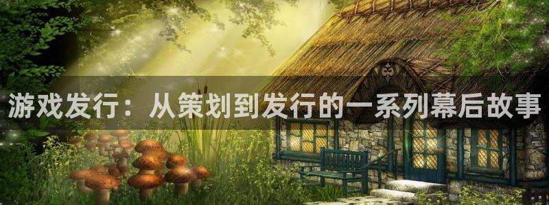 亿万28子文化是干嘛的：游戏发行：从策划到发行的一系列幕后故事