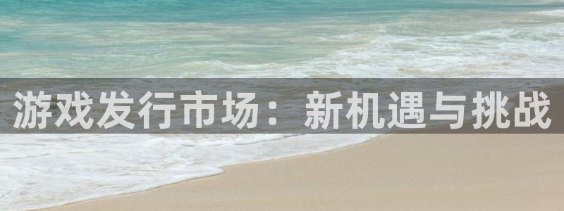 亿万28官网注册平台：游戏发行市场：新机遇与挑战