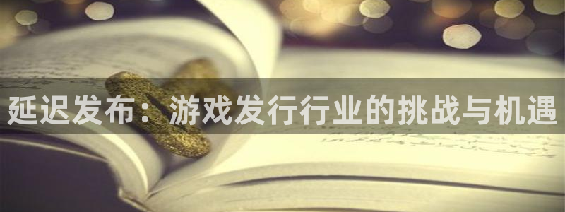亿万28户外：延迟发布：游戏发行行业的挑战与机遇