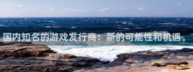 广东亿万28：国内知名的游戏发行商：新的可能性和机遇。