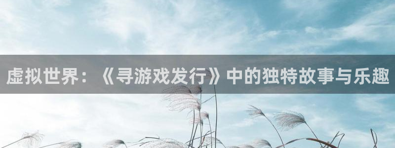 亿万28官网注册方法是什么软件：虚拟世界：《寻游戏发行》中的独特故事与乐趣