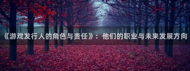 亿万28电子科技：《游戏发行人的角色与责任》：他们的职业与未来发展方向