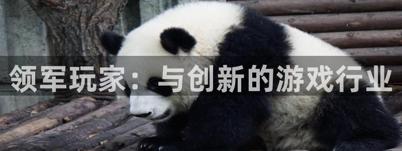 亿万28官网注册方法是什么：领军玩家：与创新的游戏行业