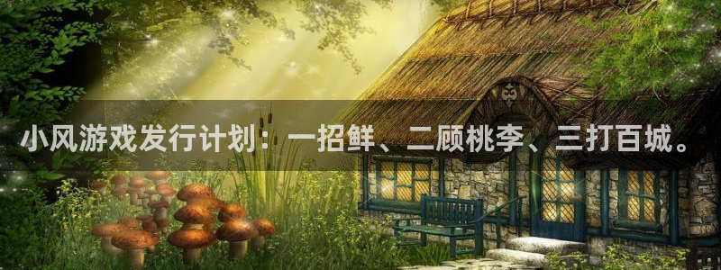 亿万28子公司怎么样：小风游戏发行计划：一招鲜、二顾桃李、三打百城。
