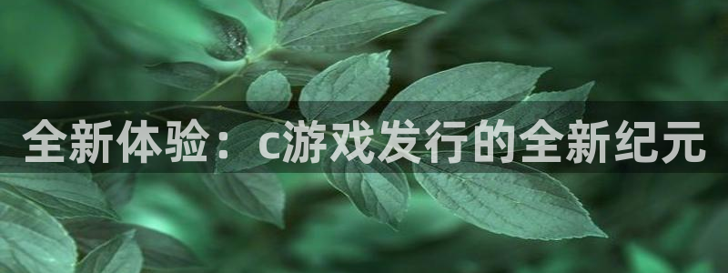 亿万28子文化：全新体验：c游戏发行的全新纪元