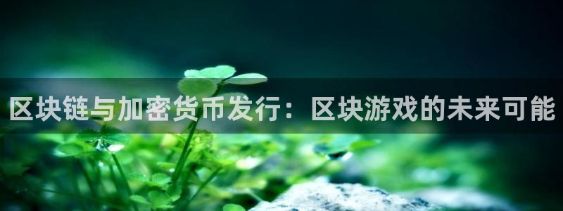 亿万28子教育科技(江门)有限公司：区块链与加密货币发行：区块游戏的未来可能